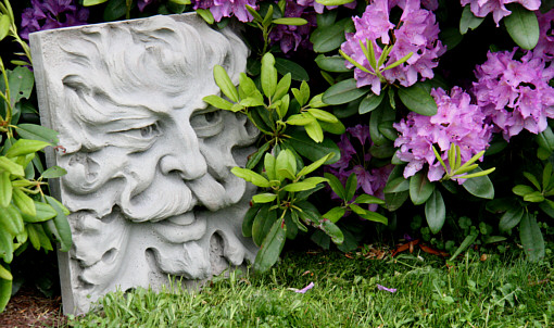 Green Man Photo